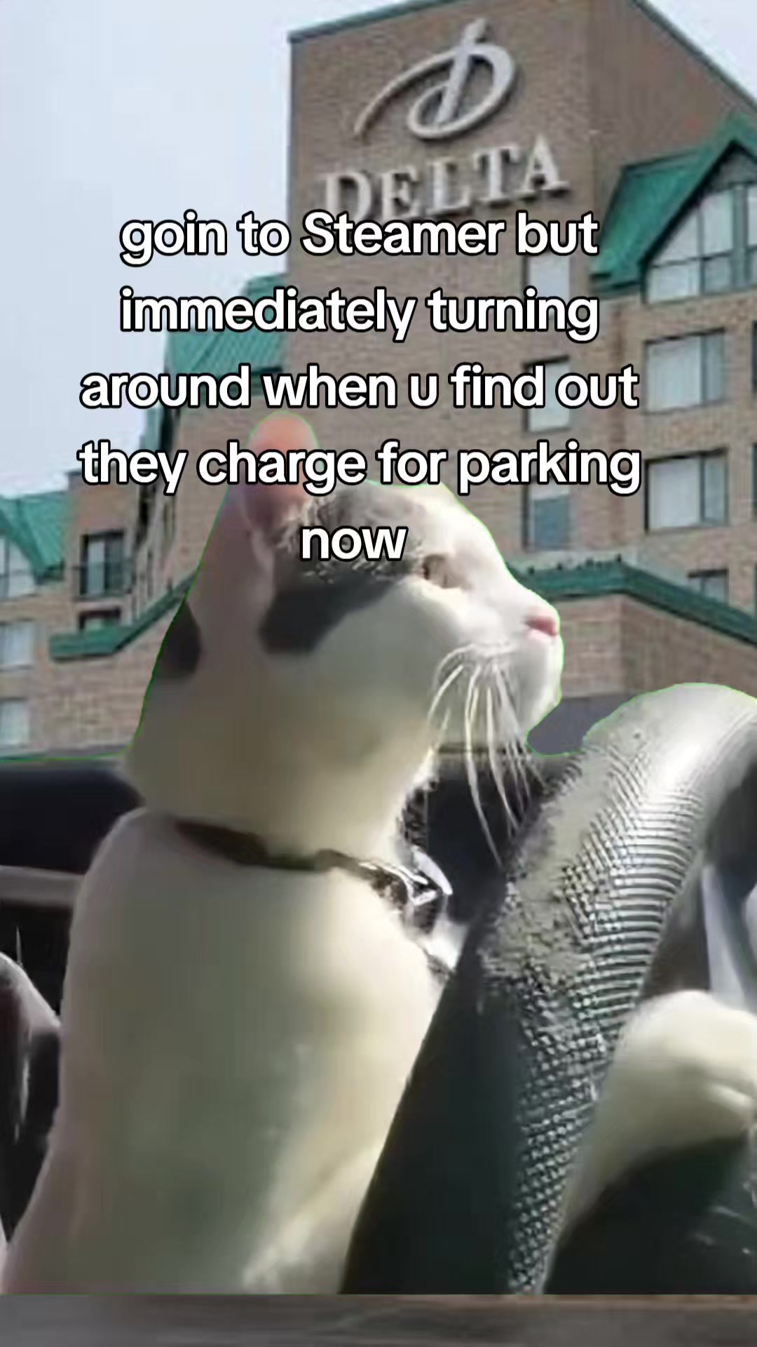 @freddy beach memes