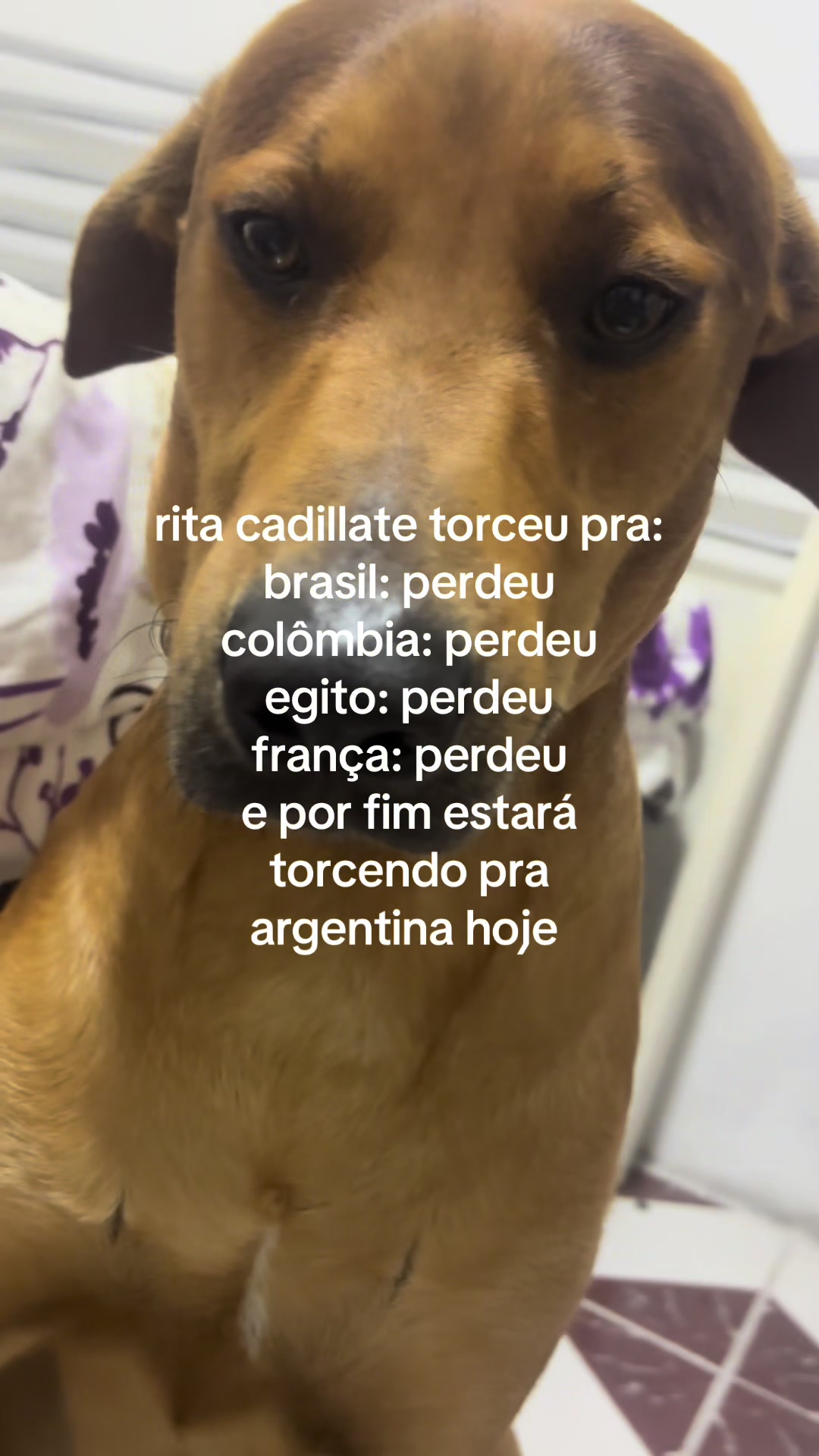 @rita cadillate