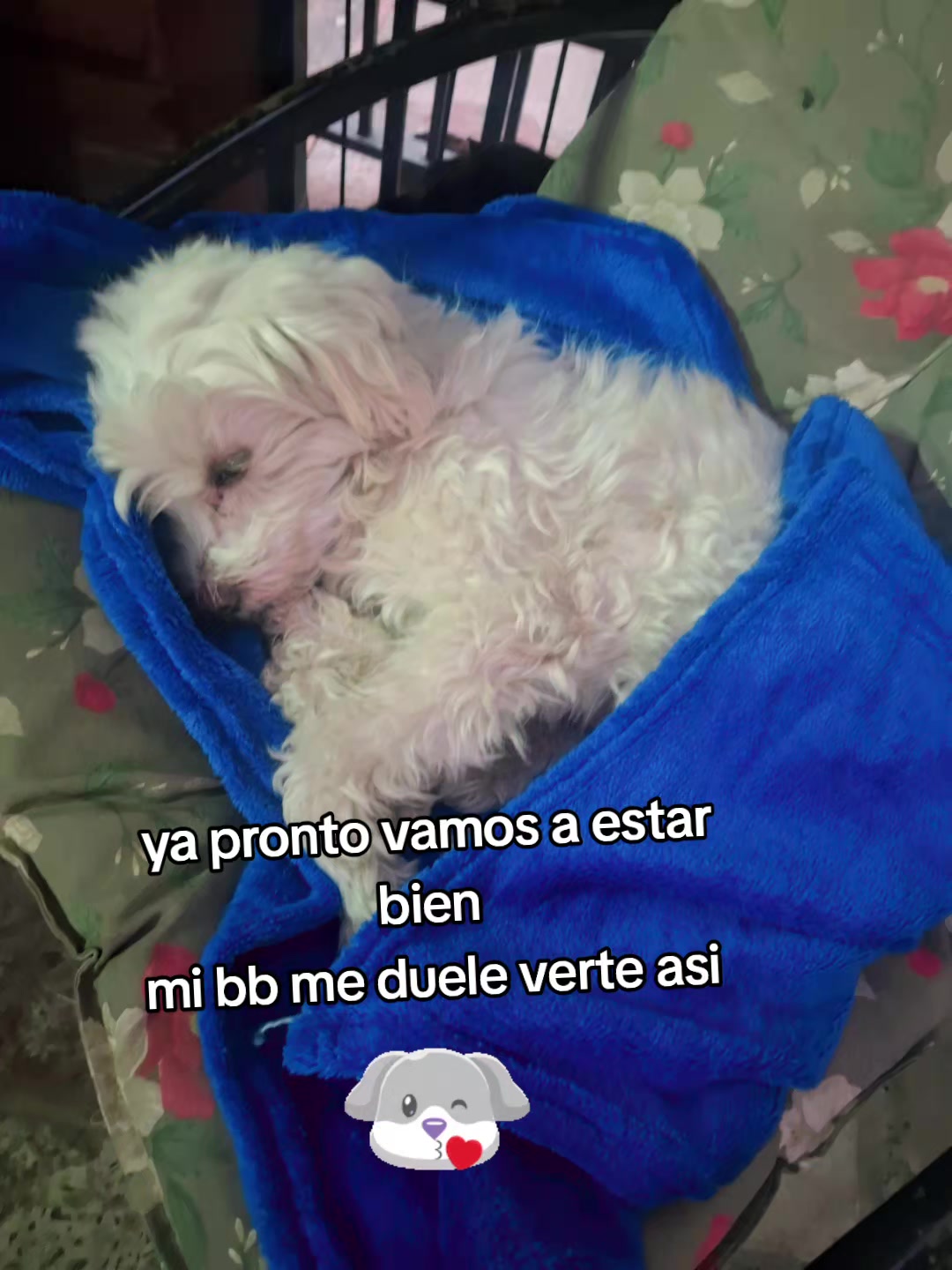 @La Rubiaza 775♡