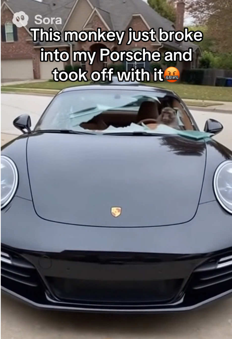 @MonkBoyzMotorClub