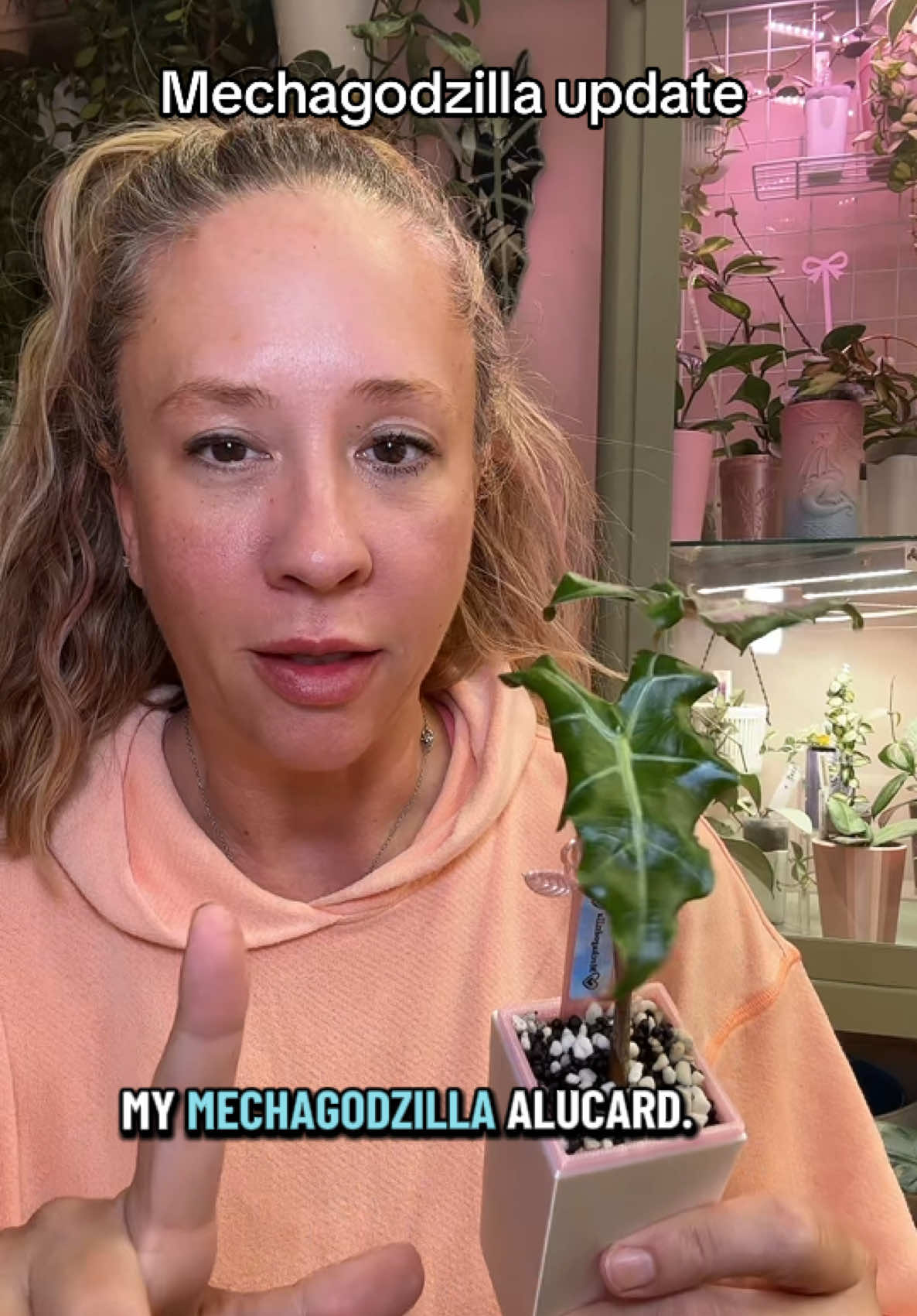 @Erin Keys - TheBoujeeGreenhous