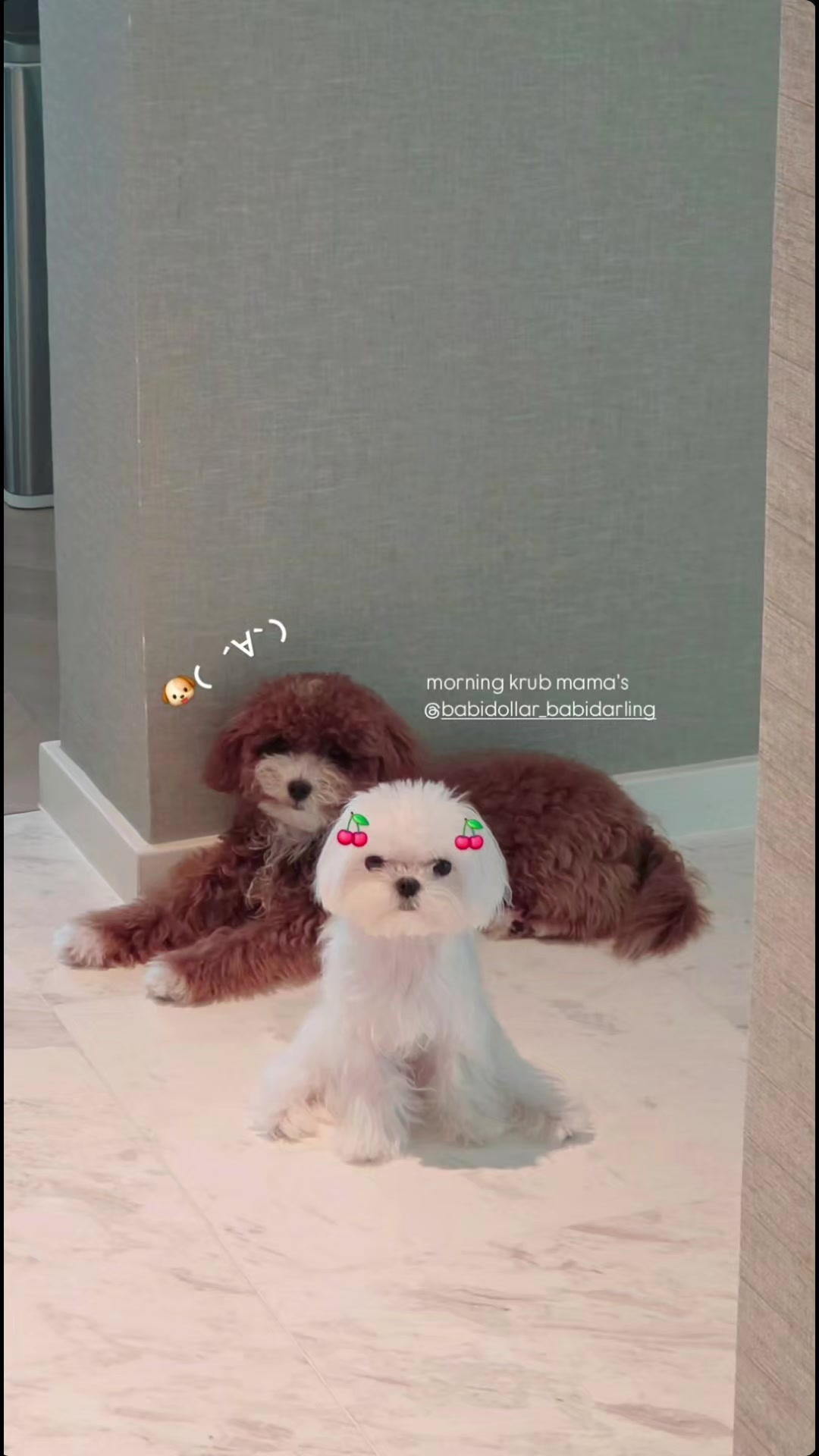 @ชอบ_ที่ตรงนี้มีคุณ