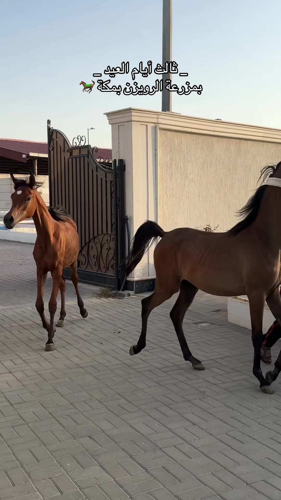 @نورا الزهراني | مكة 🌟