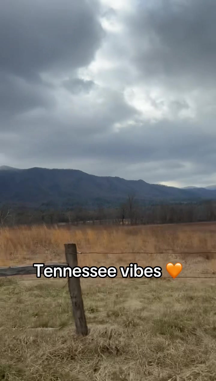 @girlmom25