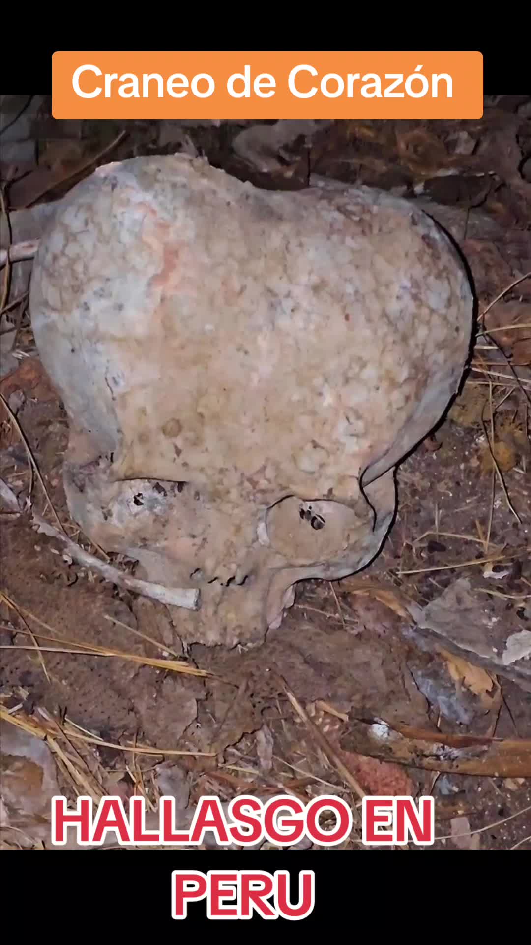 @Jugogarc&iacute;a♤
