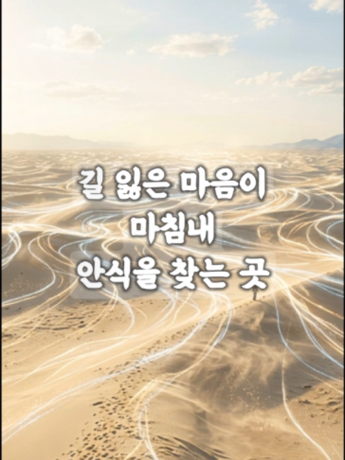 @빛의 씨앗