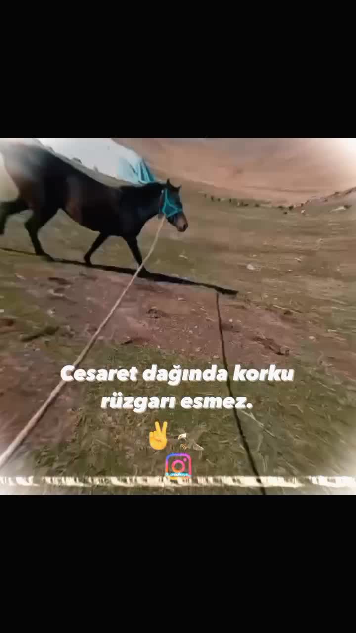 @Murat demir
