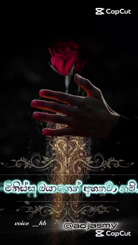 @🌹🤍Chuti 🌹🇱🇰>🇯🇴