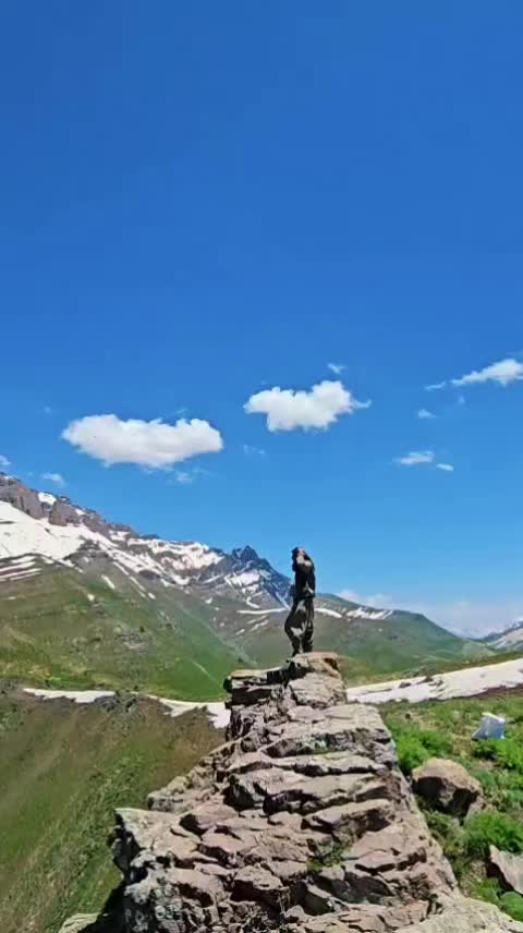 @kawaevrim
