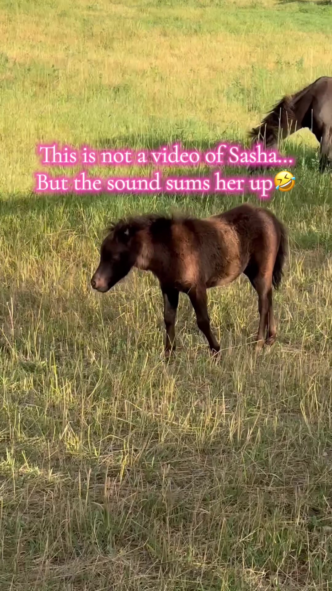 @Becca | Life + Animals 🇨🇦