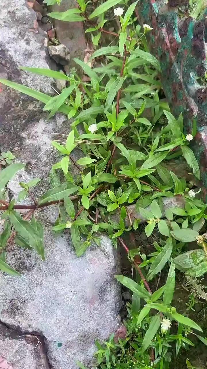 @Subhash.Talreja