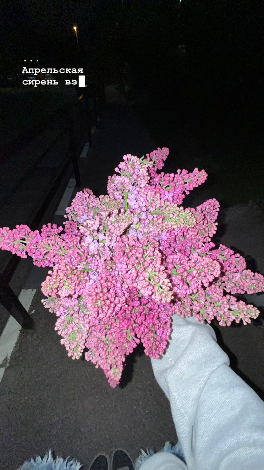 @@ тгк:Polyusha_💖