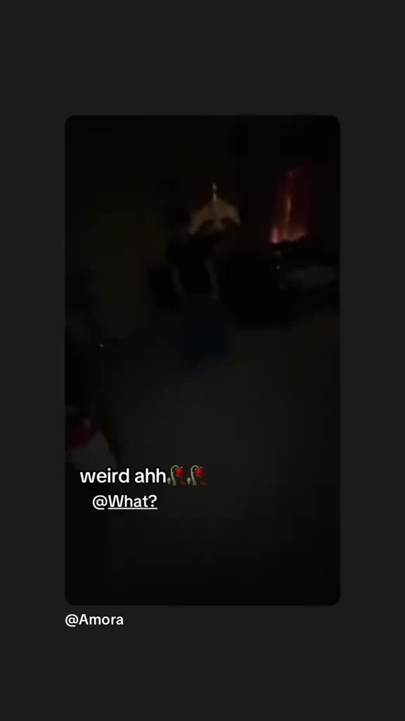 @What?🦇