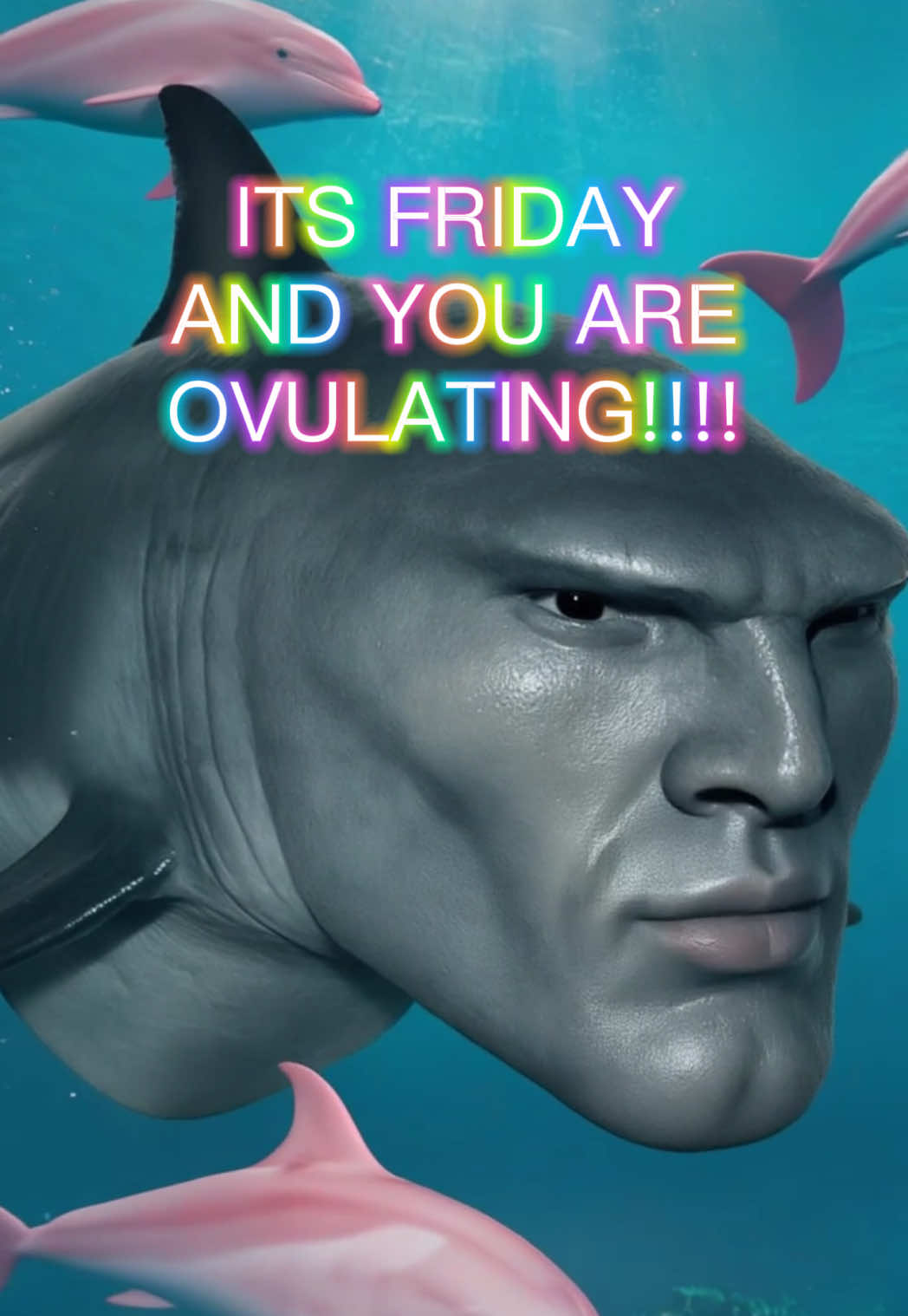 @divasharkmemes