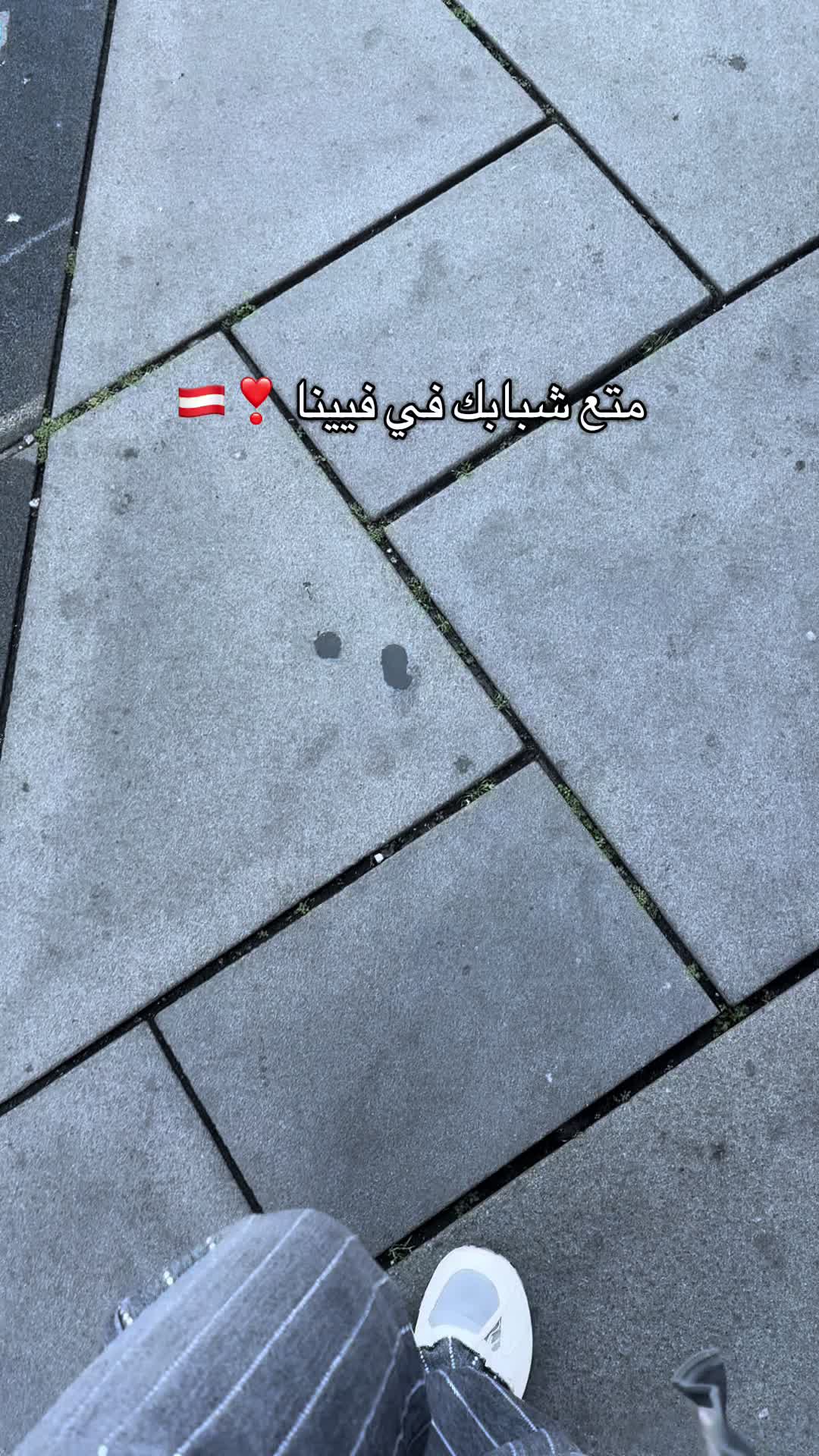 @مَــاَدلِــيْــن|blogger🤳
