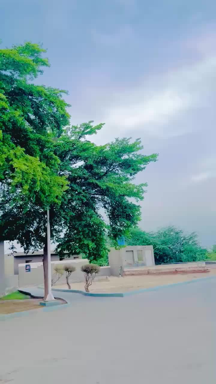 @Muzamil Hayat