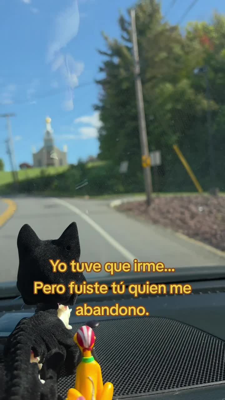 @el panda solitario