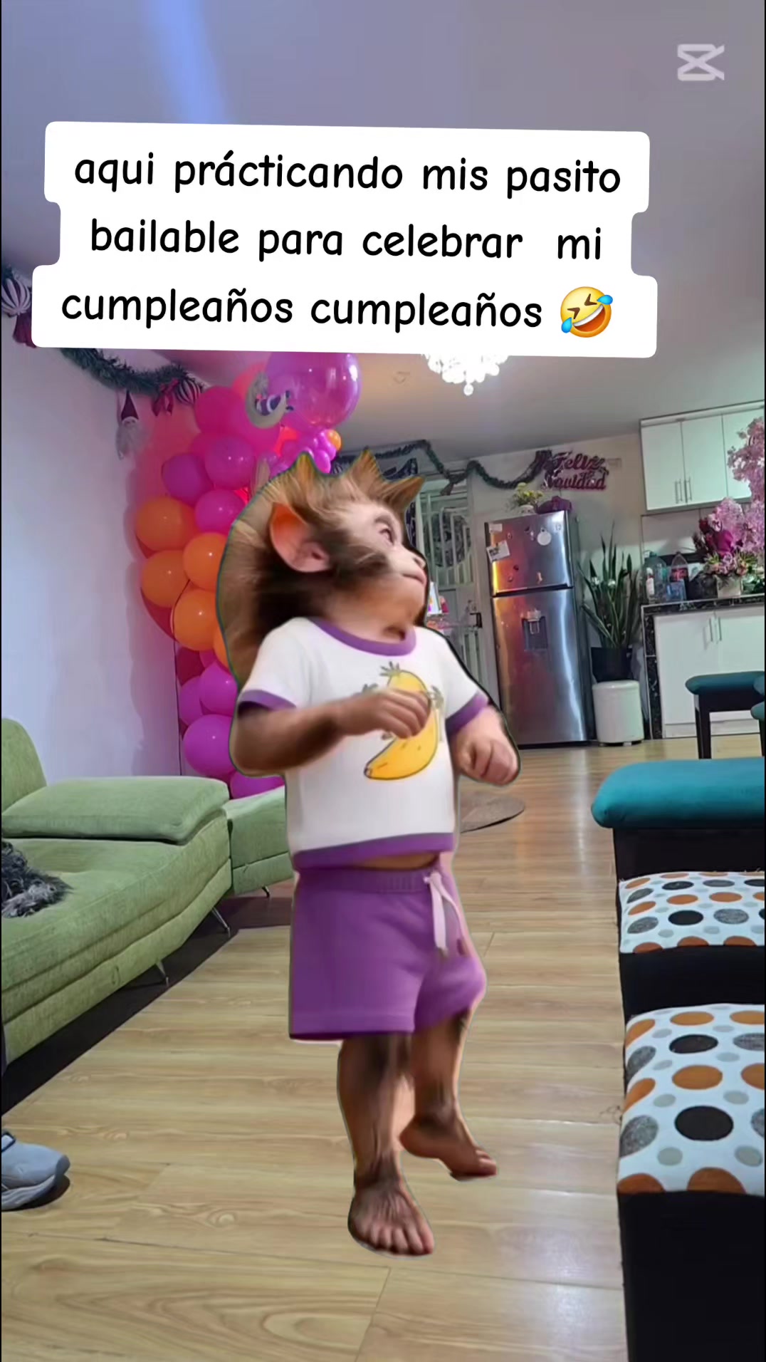 @Barbara Roo