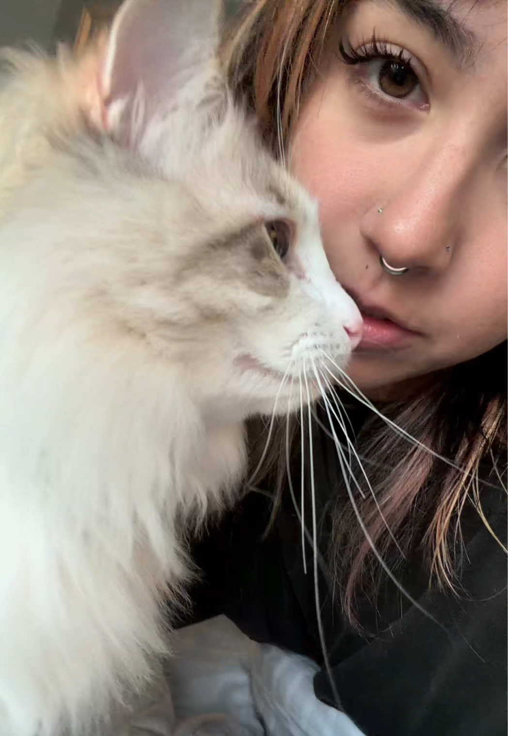 @luna ʕ•ᴥ•ʔ