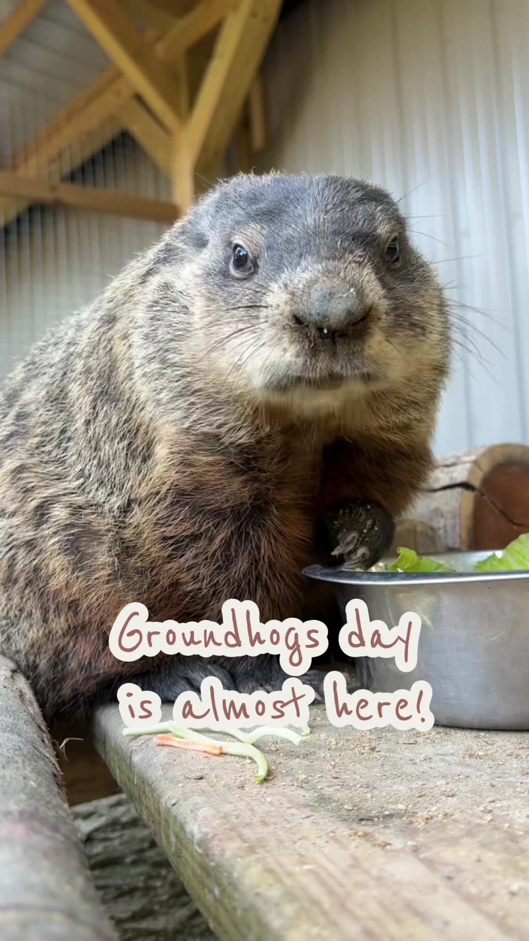 @HowellNatureCenter