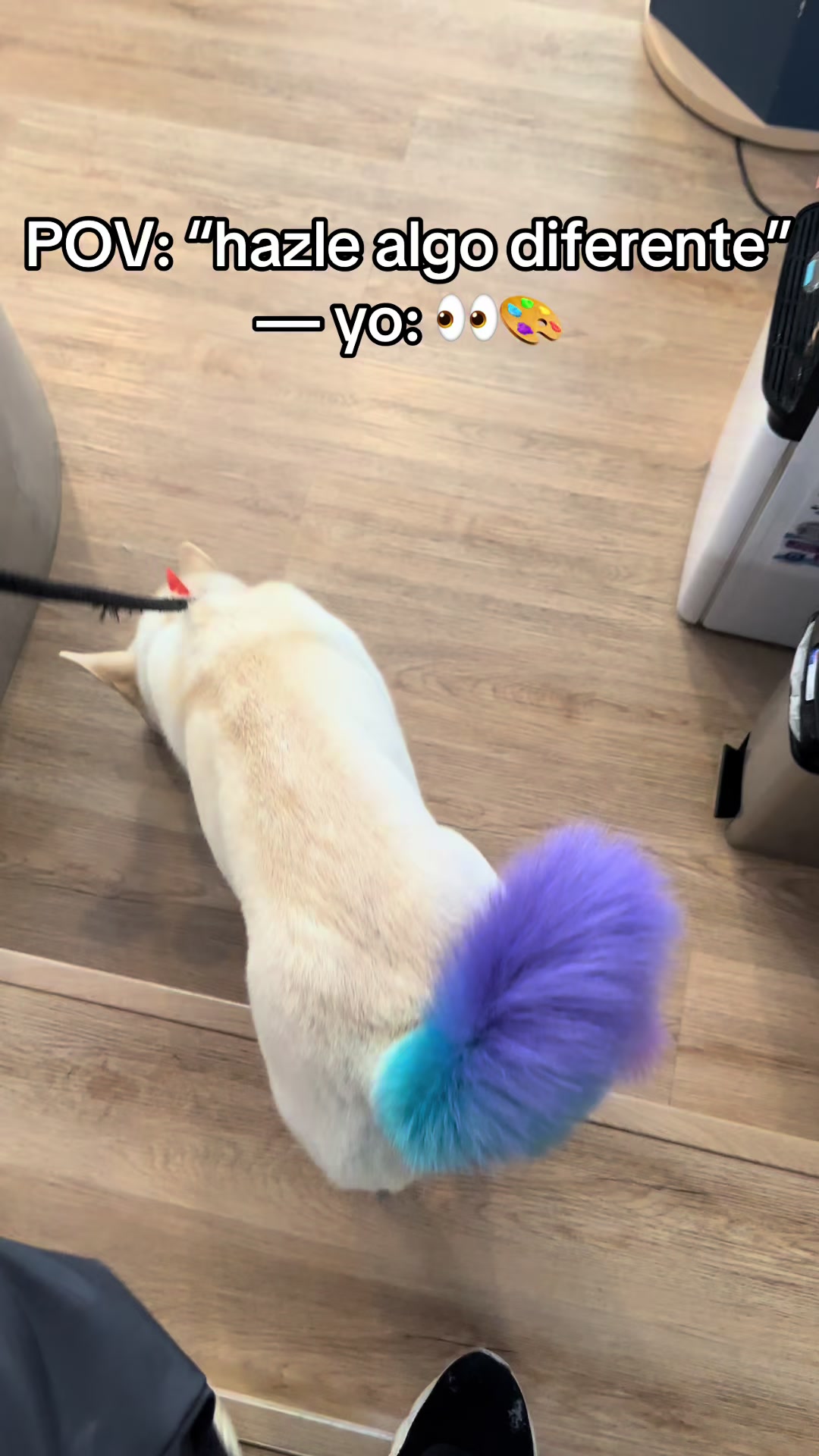 @dayangroomer