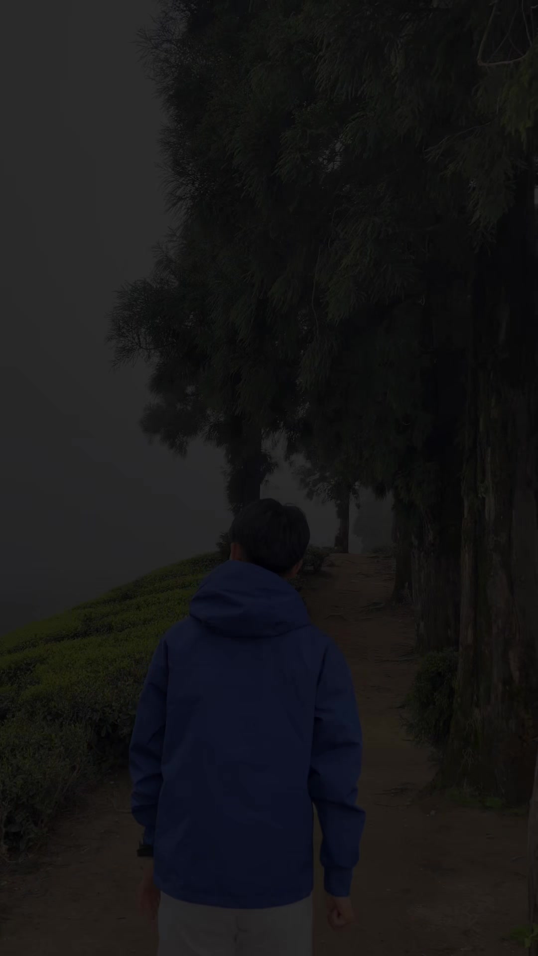 @Sabin Thamsuhang limbu