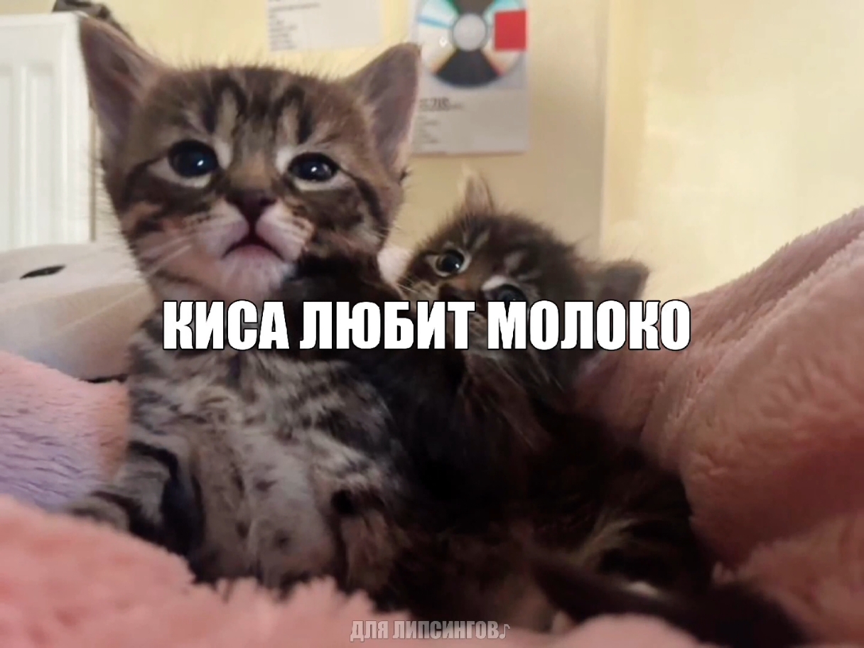 @для липсингов