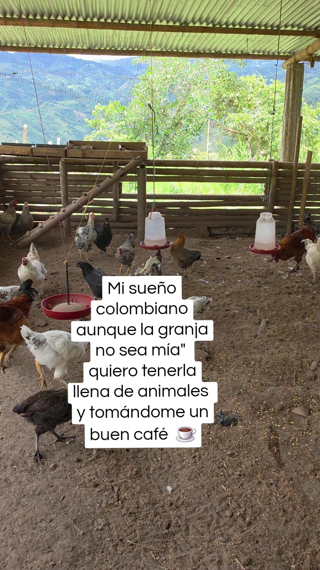 @MARIA ALEJANDRA