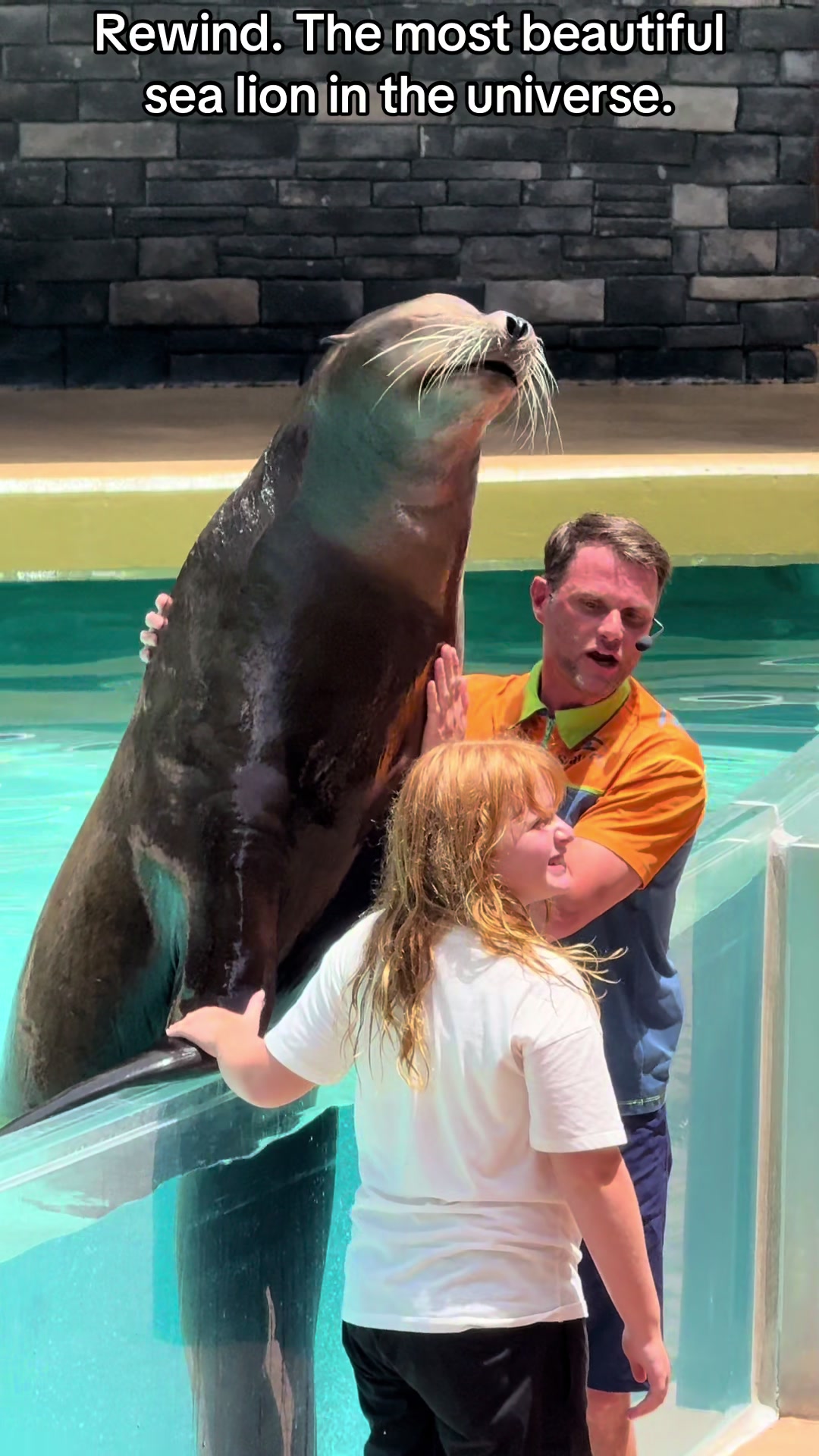 @OlivierSeaworld