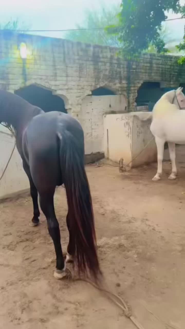 @Chaudhry Jahanzaib Baru