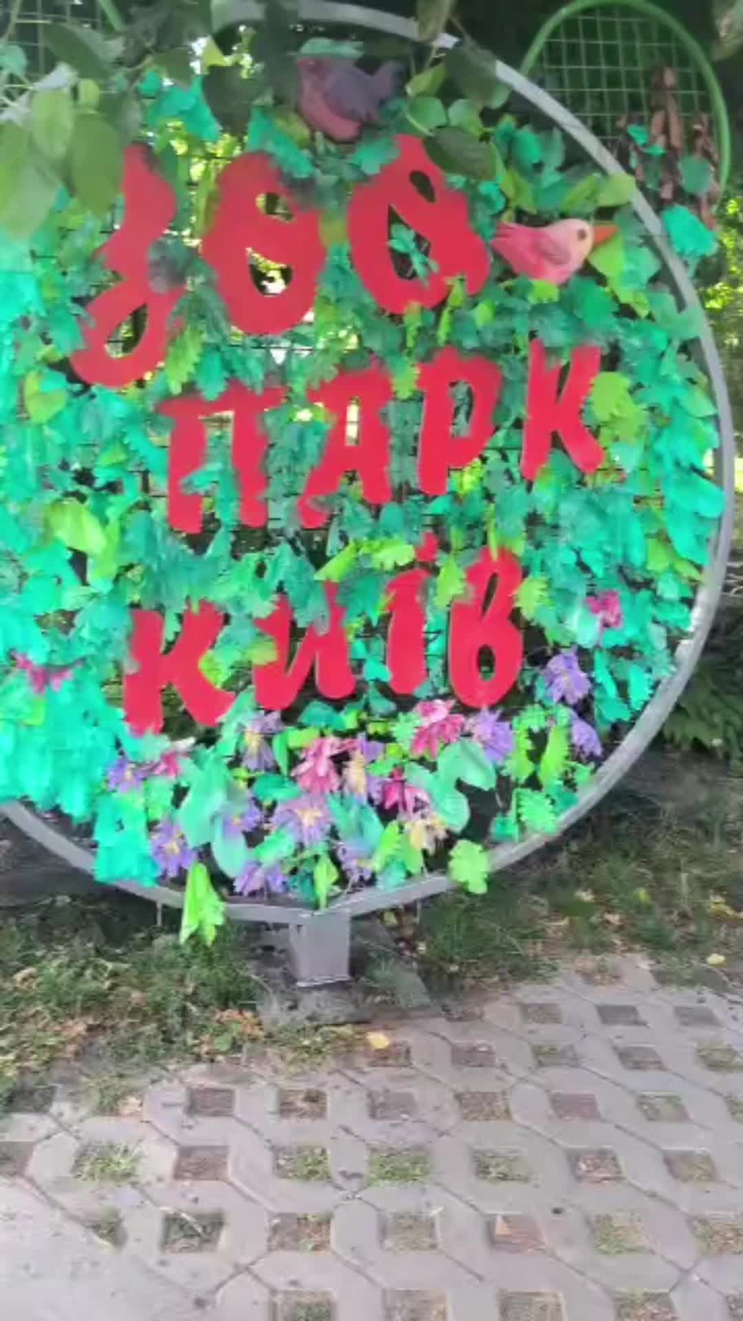 @Аня Волошина