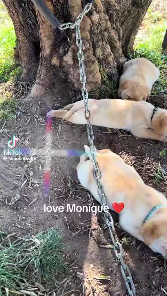 @Monique