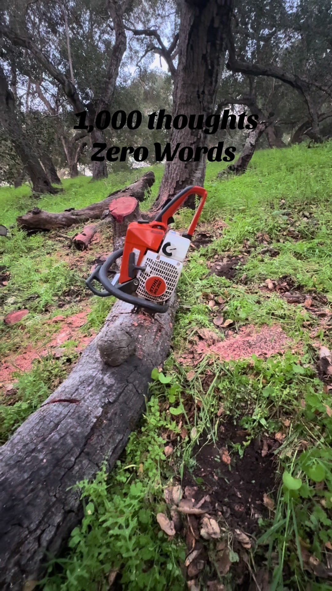 @Rh Fire wood