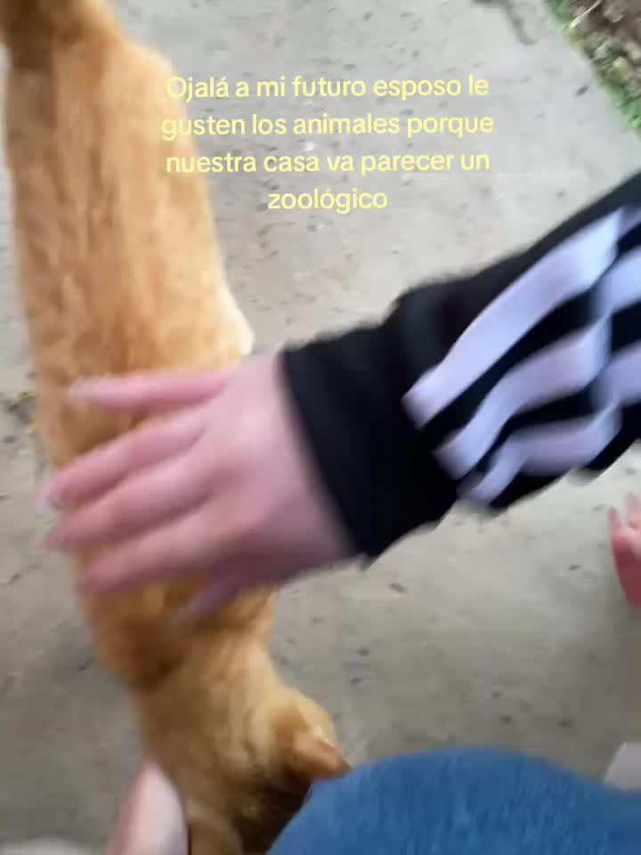 @๐ฃ๐๐๐๐๐