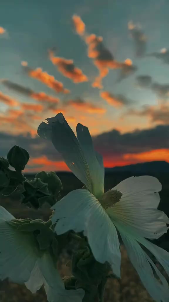 @Zagros72