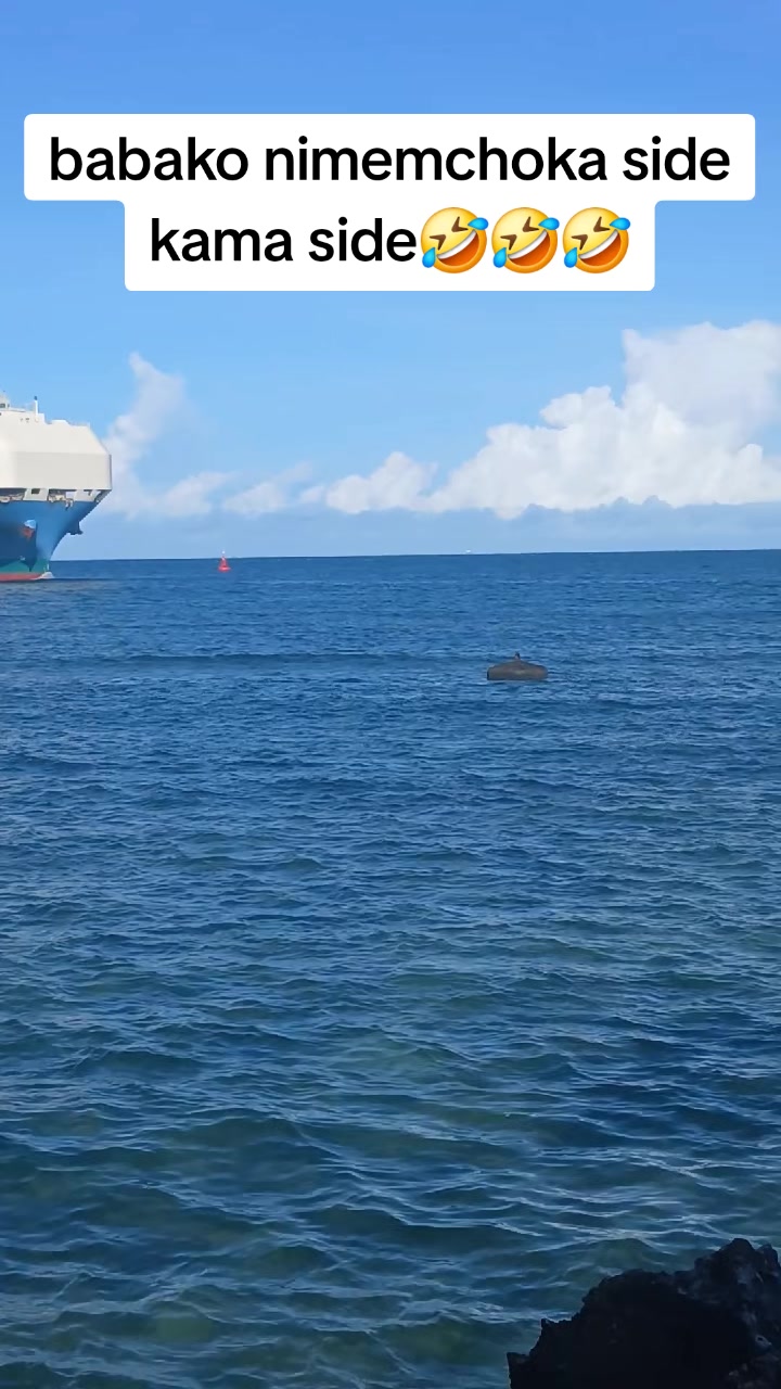 @🤣 ǰoʻàķèŕ 💦💫