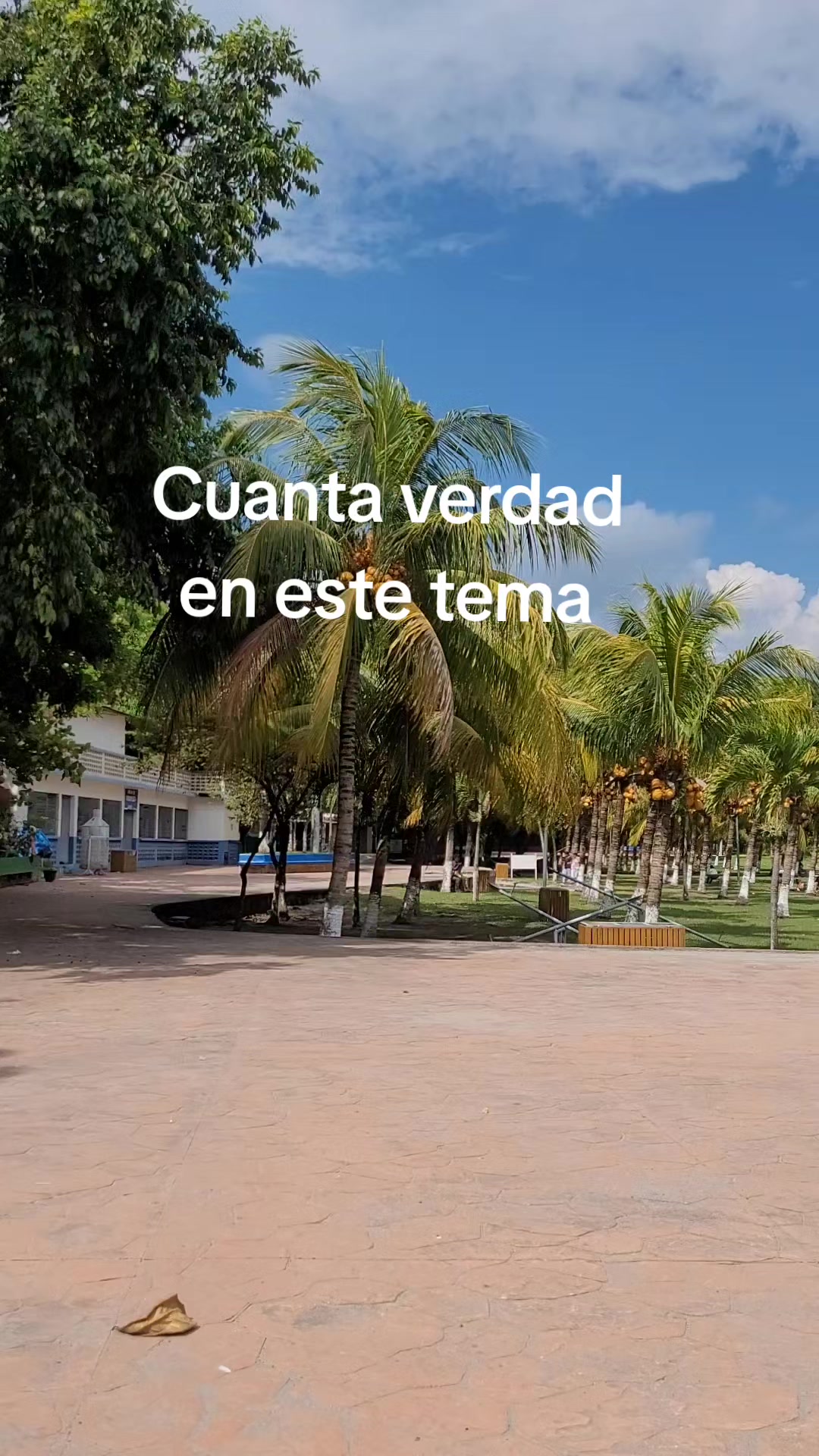 @Carmen Alvarado
