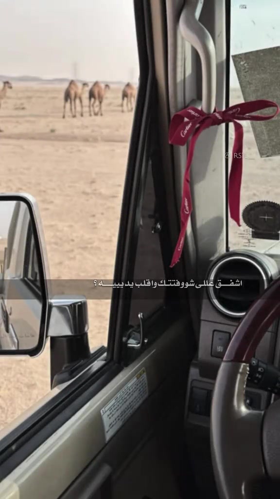 @(﮼صمت ﮼الجرو ح﮼)