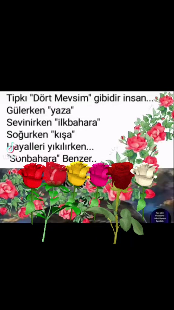 @atakan &ccedil;etin