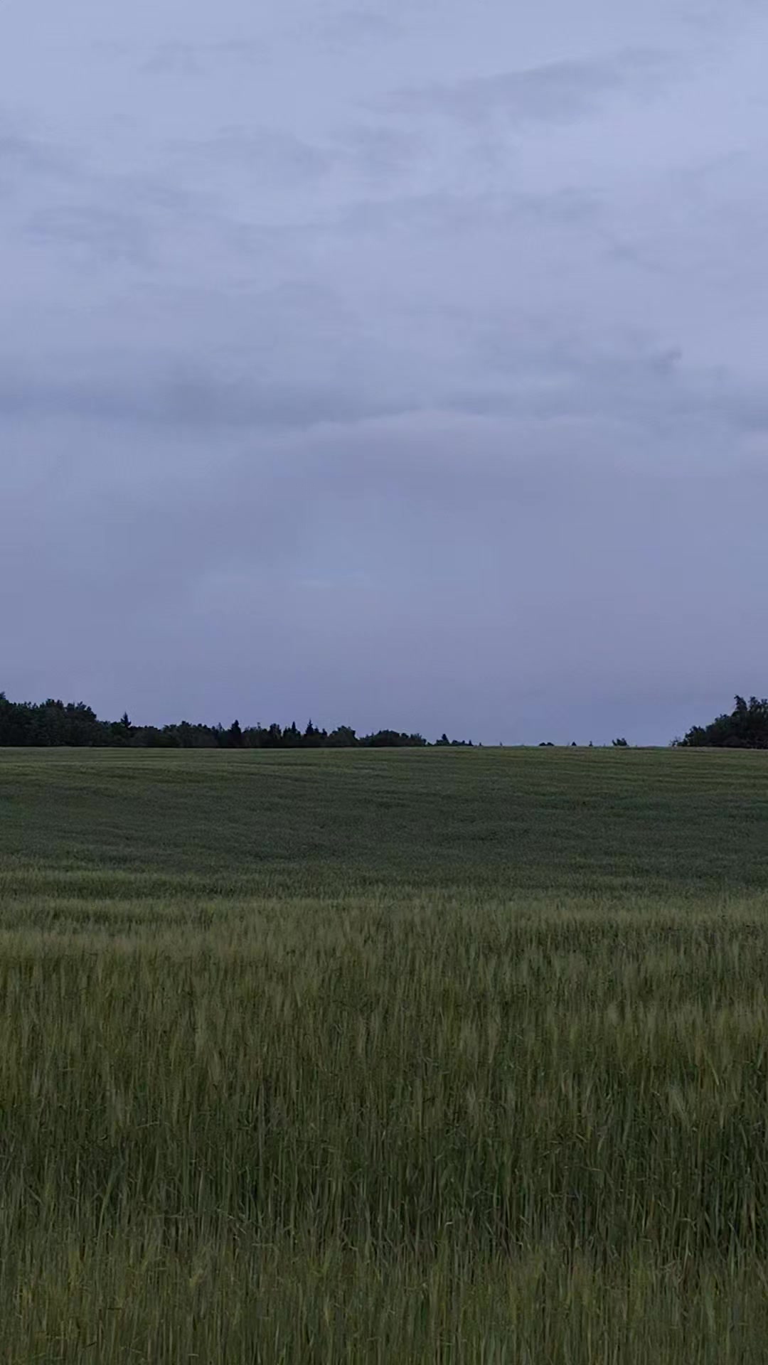 @Инна_🇧🇾🇧🇾🇧🇾_