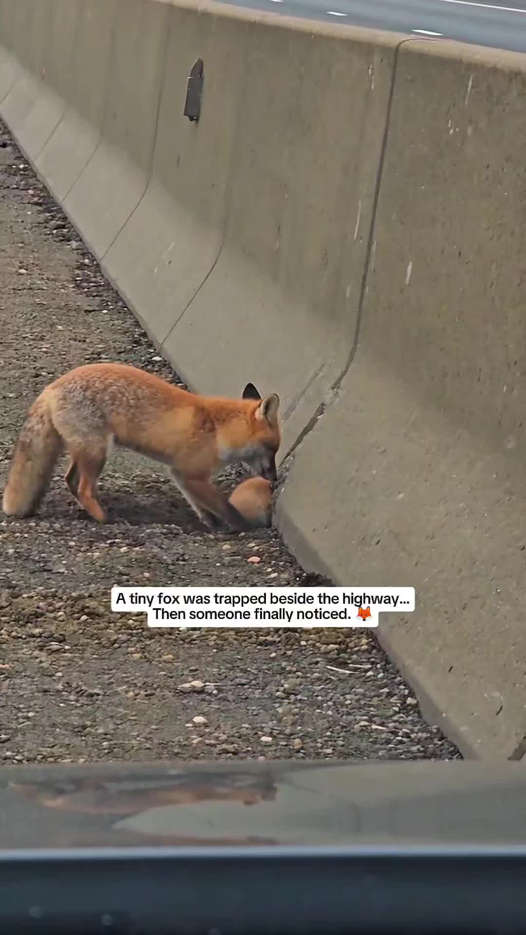 @WildwonderzZzz