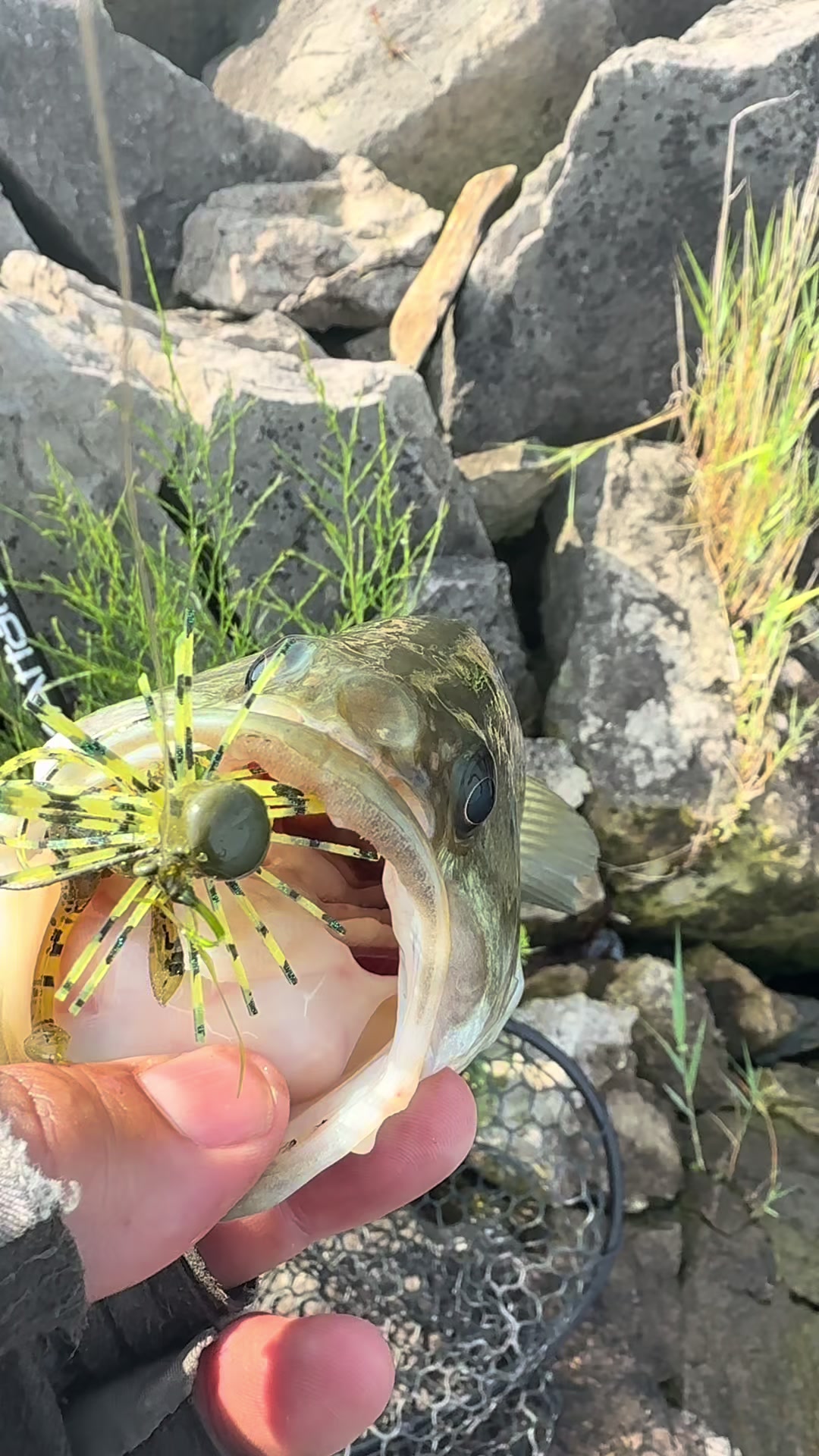 @Get Ugly Fishing™