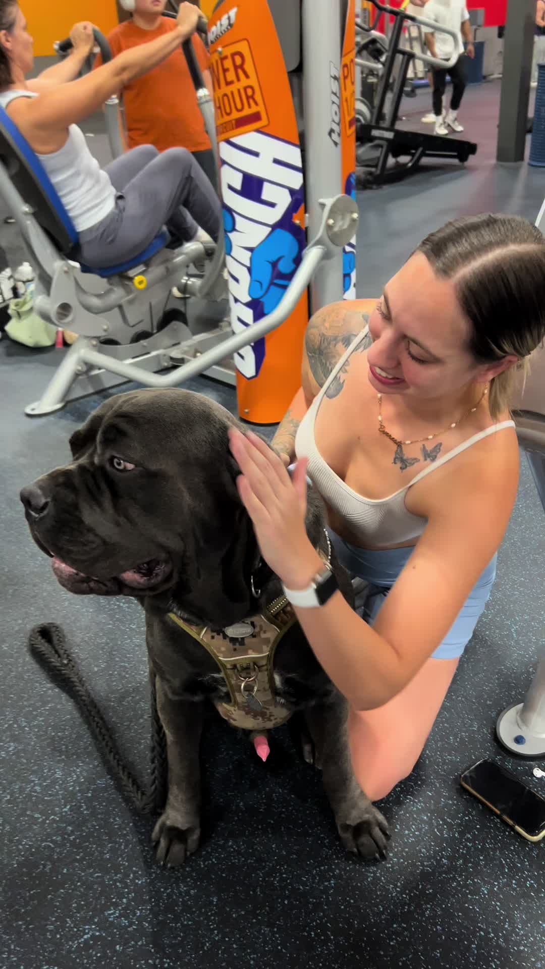 @Charlee The Cane Corso