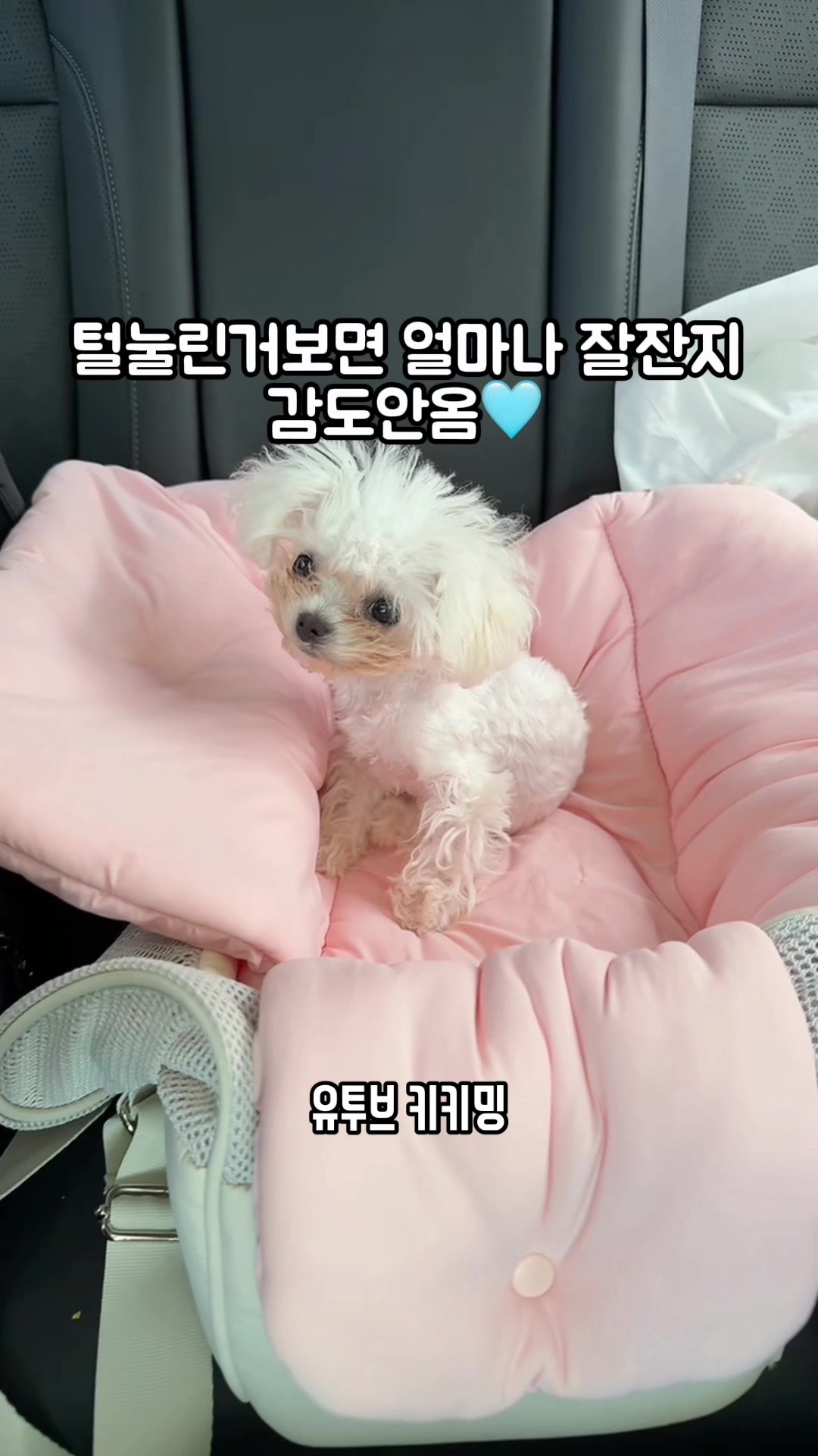 @jeju_kiki