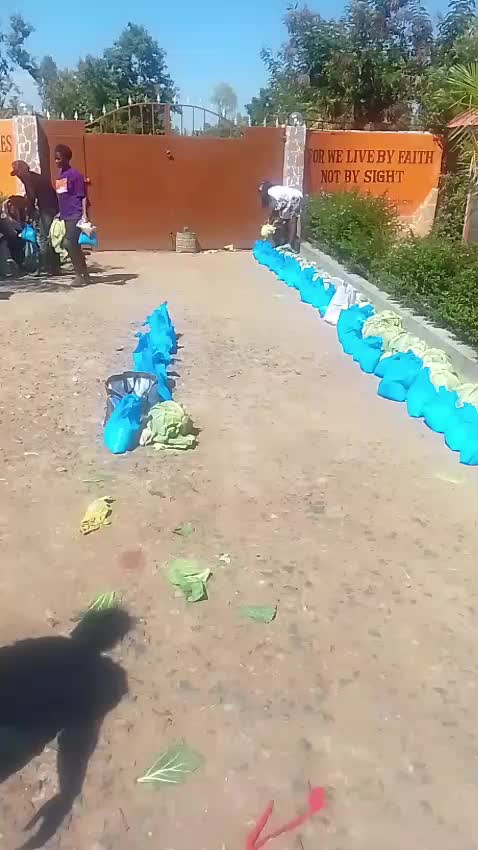 @REGINA TEACUP FOUNDATION