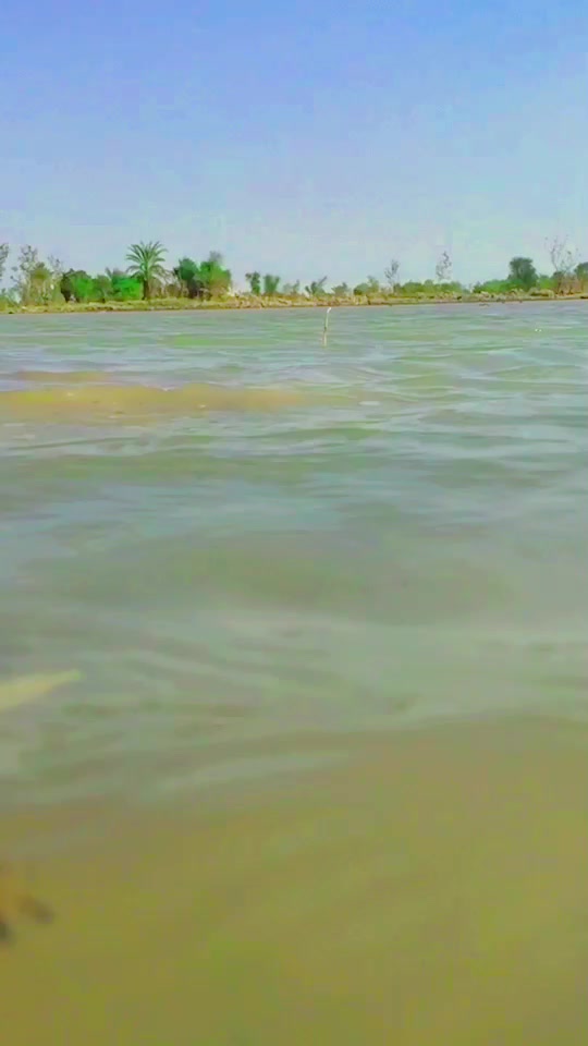 @عثمان بلوچ