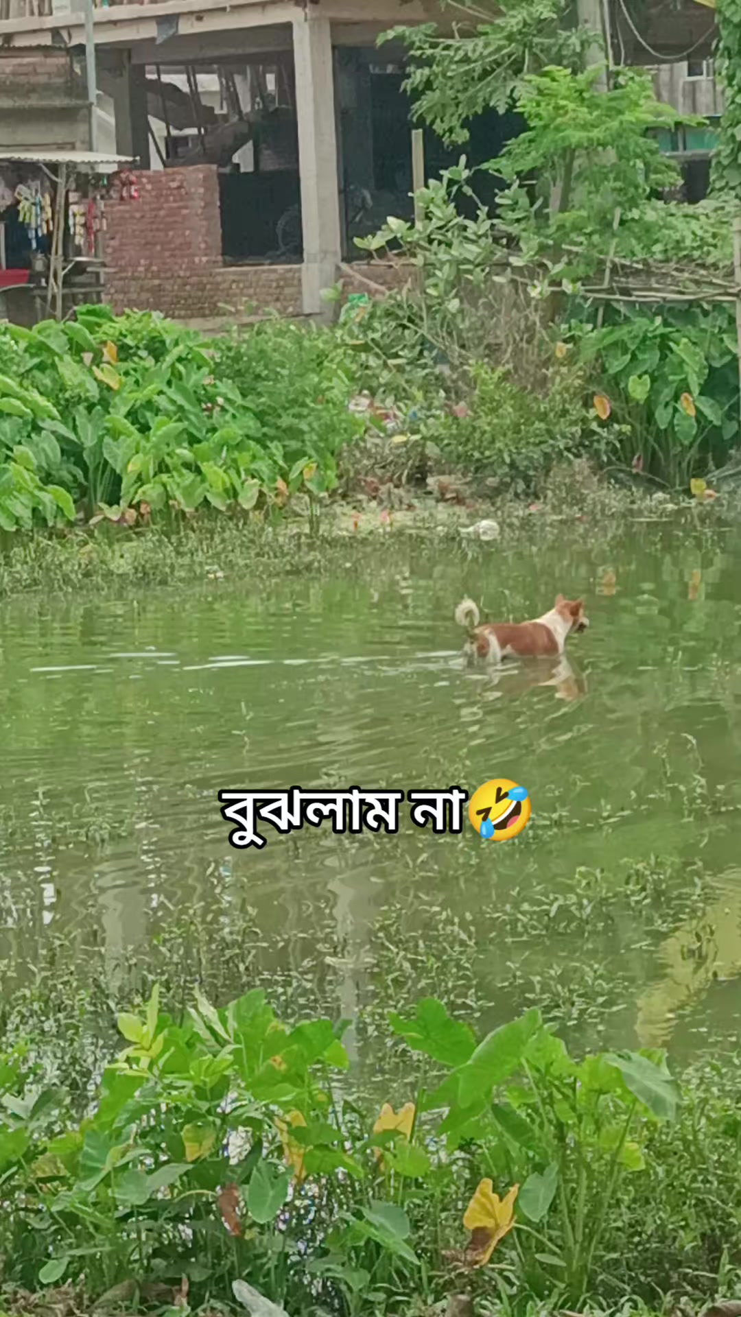 @≈!!🩷পি_»«_চ্চি🩷!!≈