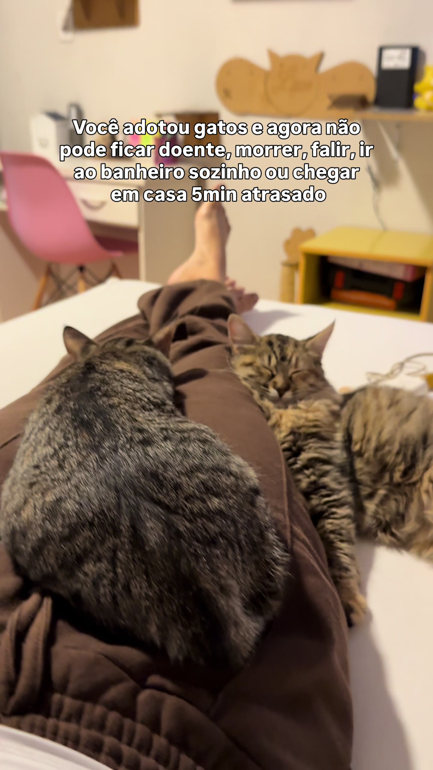 @loheseuspets