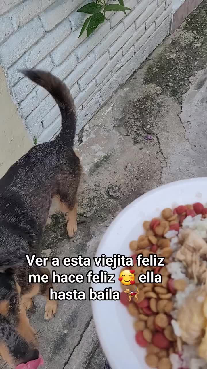@𝕃𝕚𝕤𝕤 ℝ𝕖yes🇸🇻