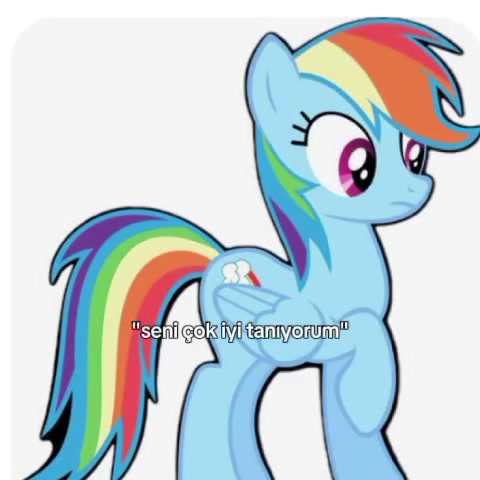 @🌈🌩rainbow dash🌈🌩🫐 ❤